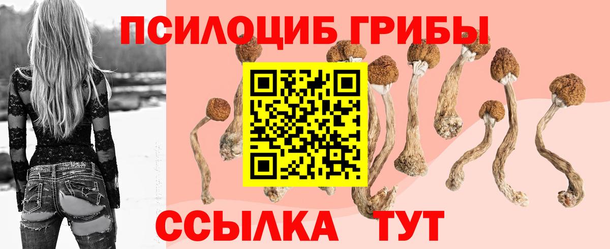 Галлюциногенные грибы GOLDEN TEACHER  Вход с VPN  Лесной 